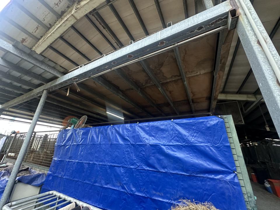 遮雨棚安裝案件圖片
