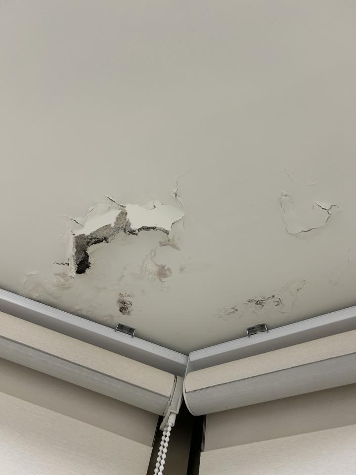 壁癌處理案件圖片