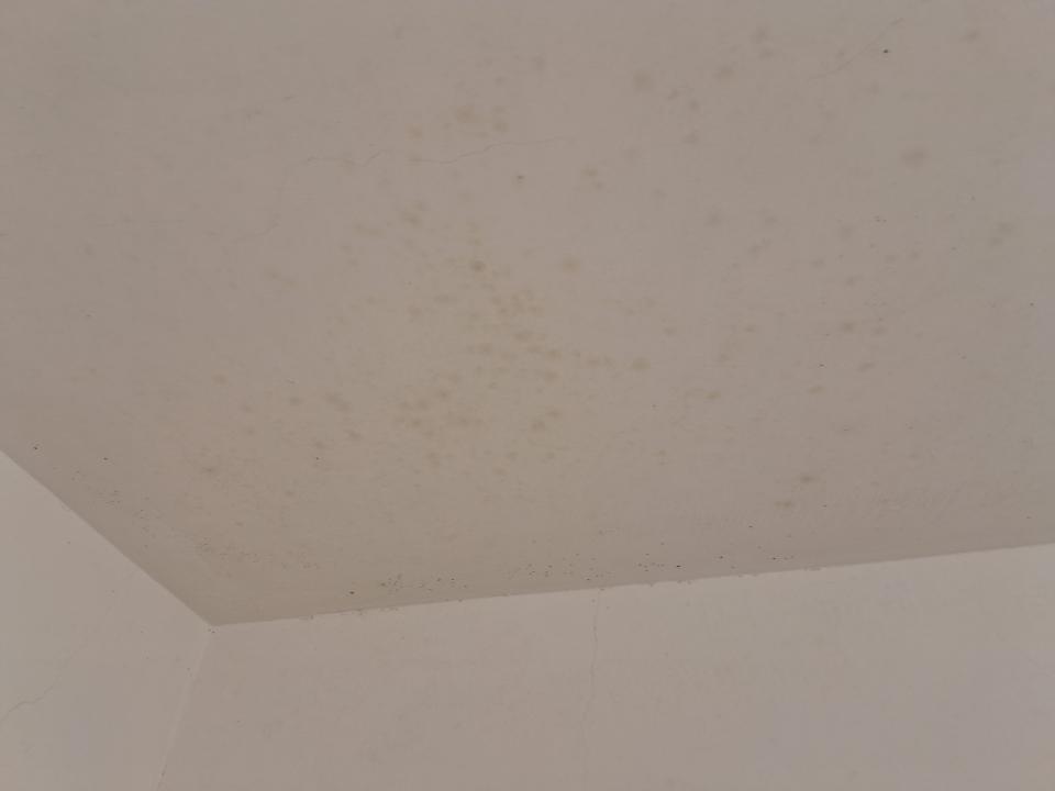 漏水鑑定案件圖片