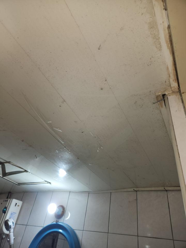 浴室翻新案件圖片