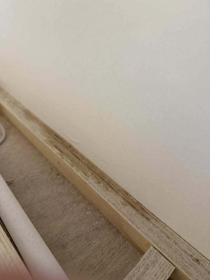 屋頂防水案件圖片