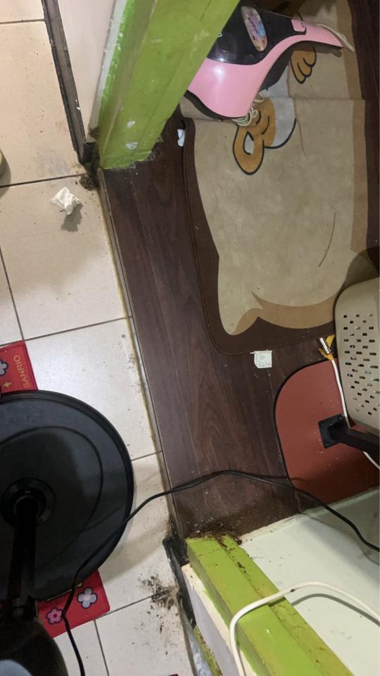 拆除工程案件圖片