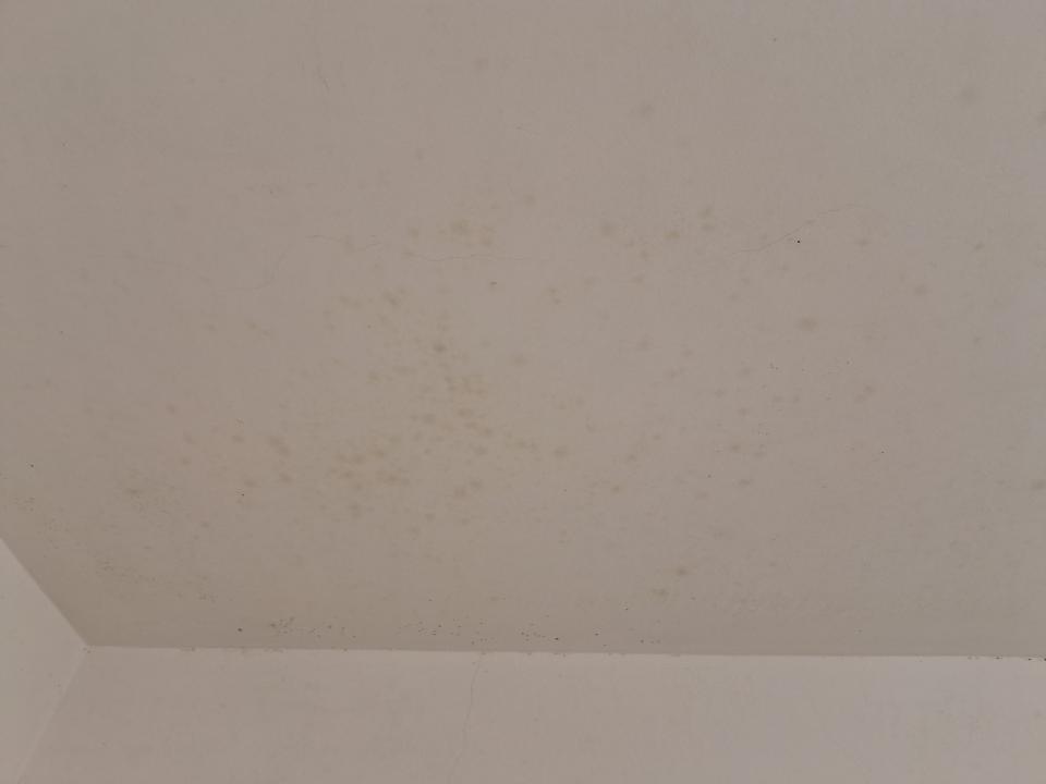 漏水鑑定案件圖片