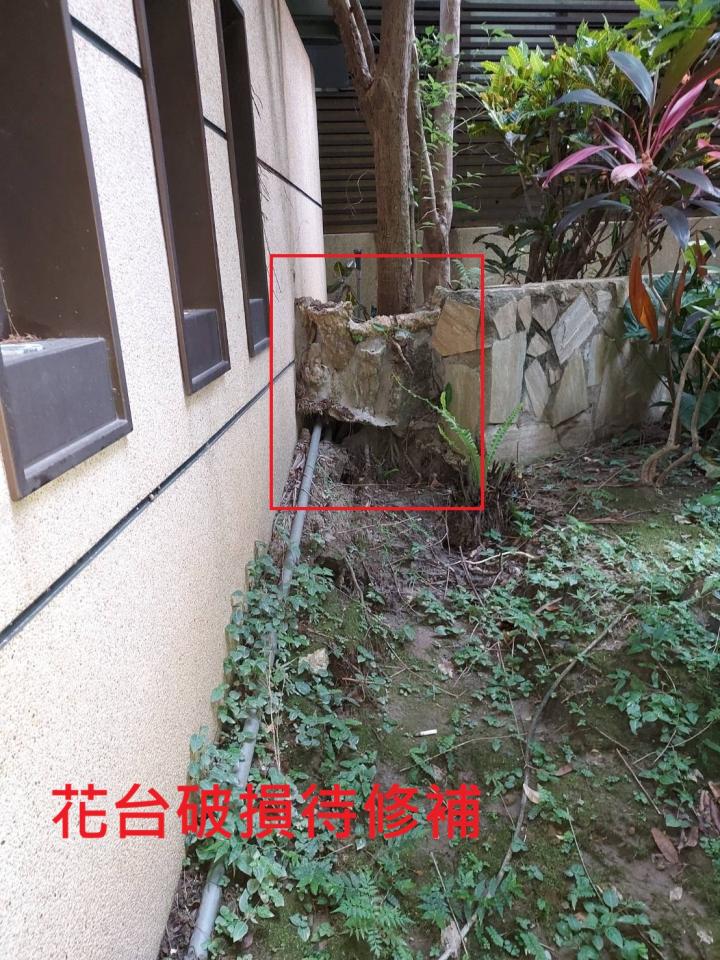泥作/水泥施工案件圖片
