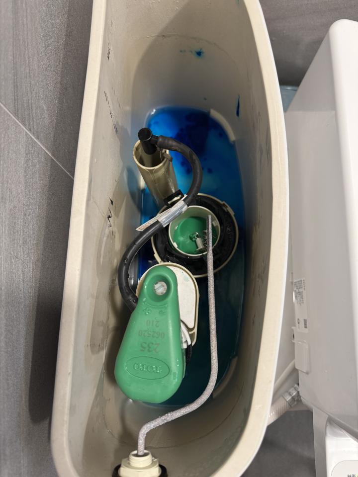 馬桶裝修案件圖片