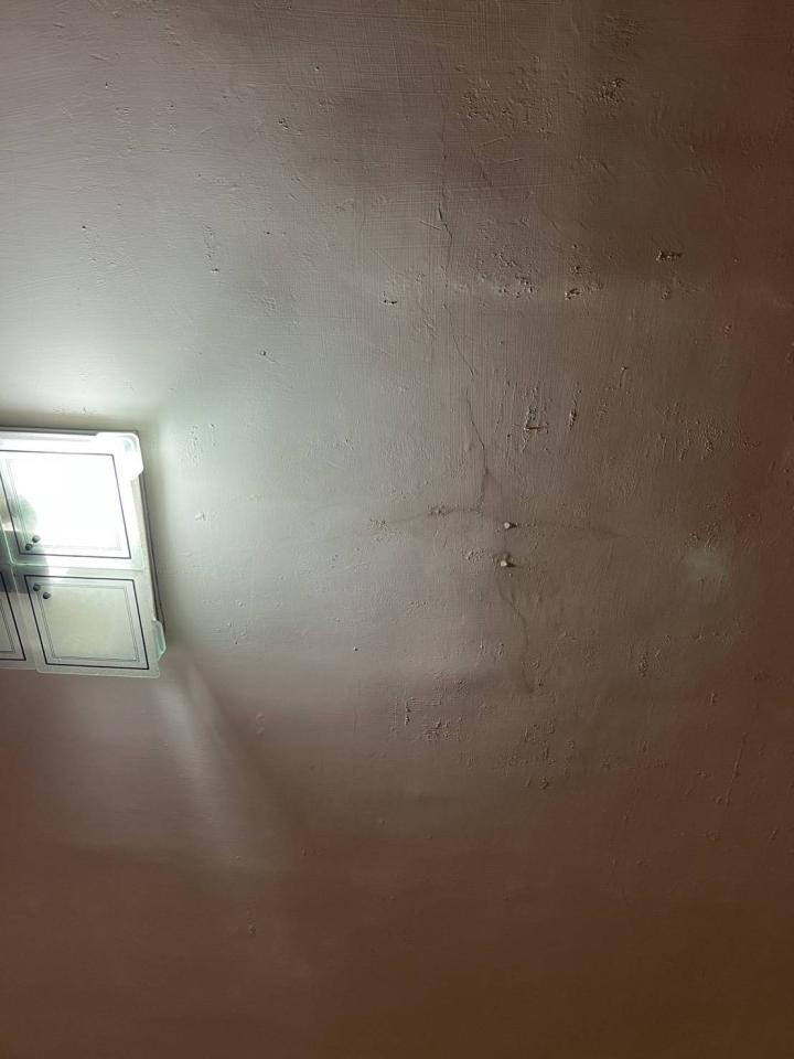 抓漏案件圖片