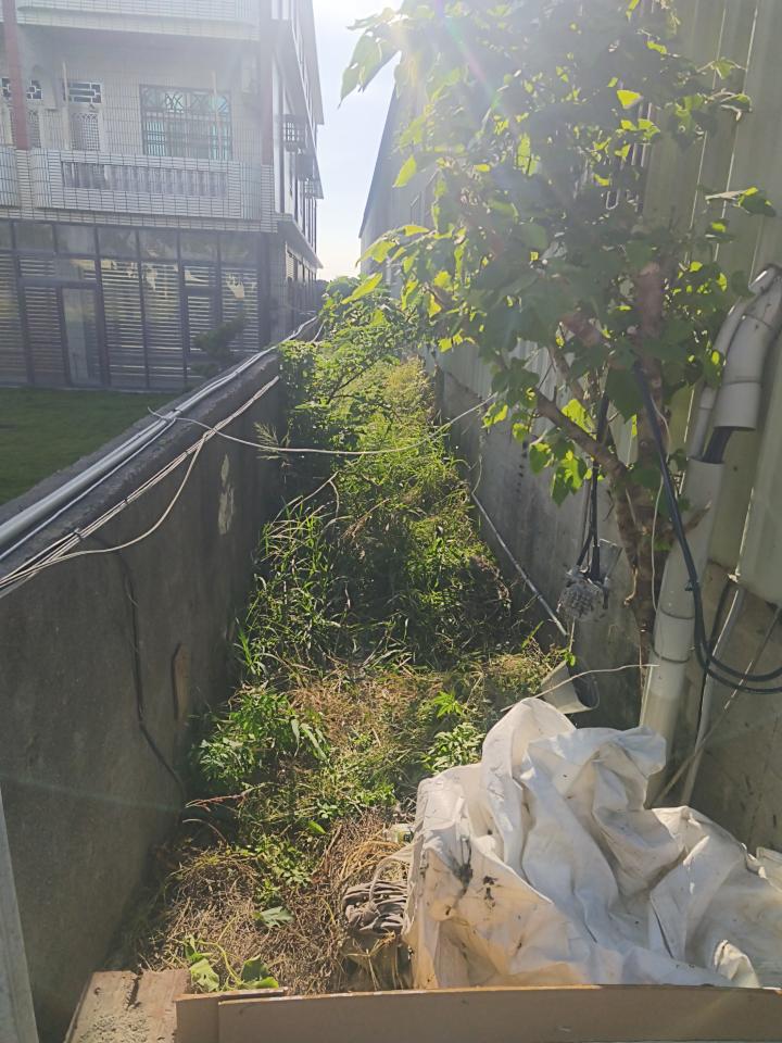 園藝維護案件圖片