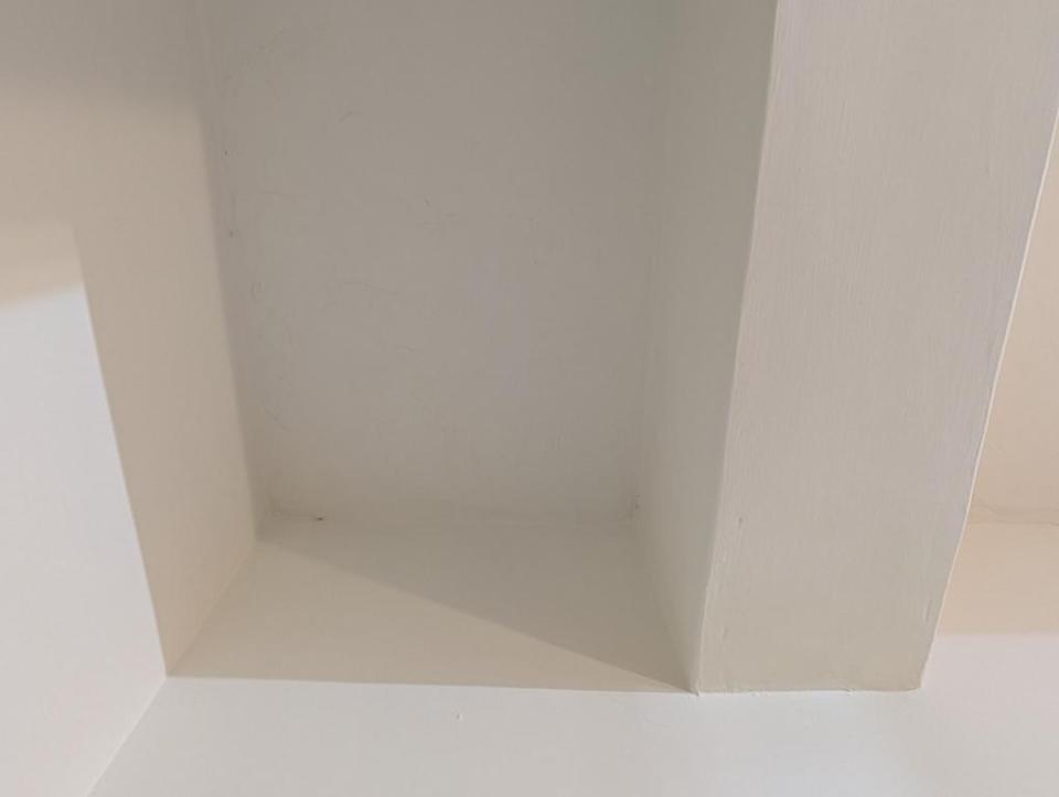 抓漏案件圖片
