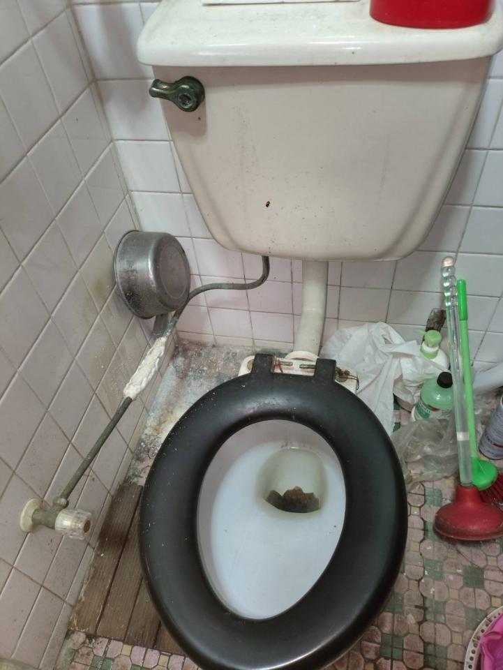 馬桶裝修案件圖片