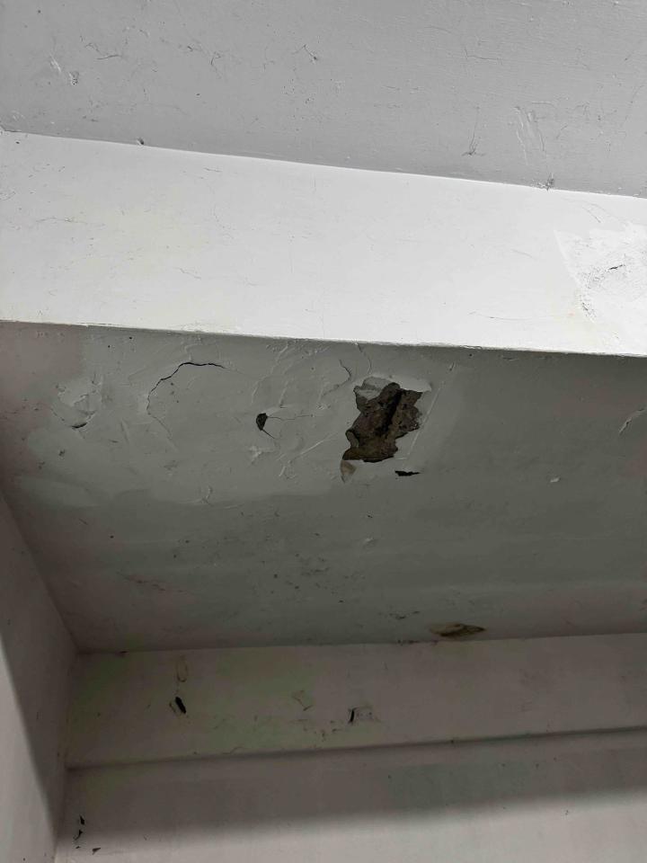 鋼筋外露處理案件圖片