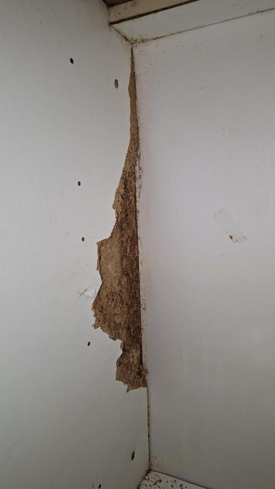 櫥櫃門片更換案件圖片