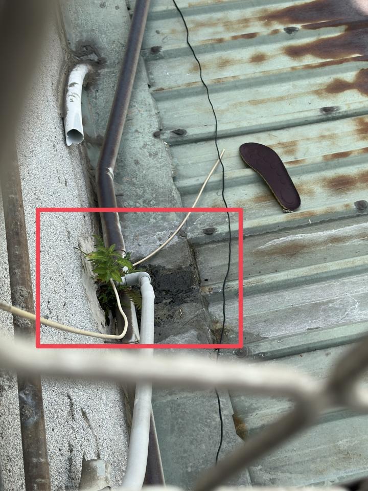 漏水處理案件圖片
