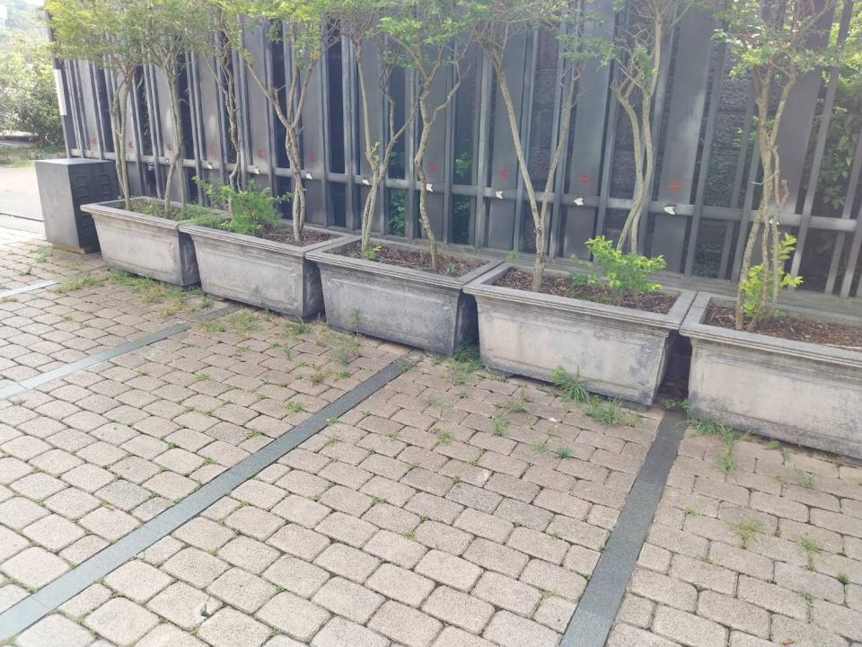 園藝維護案件圖片