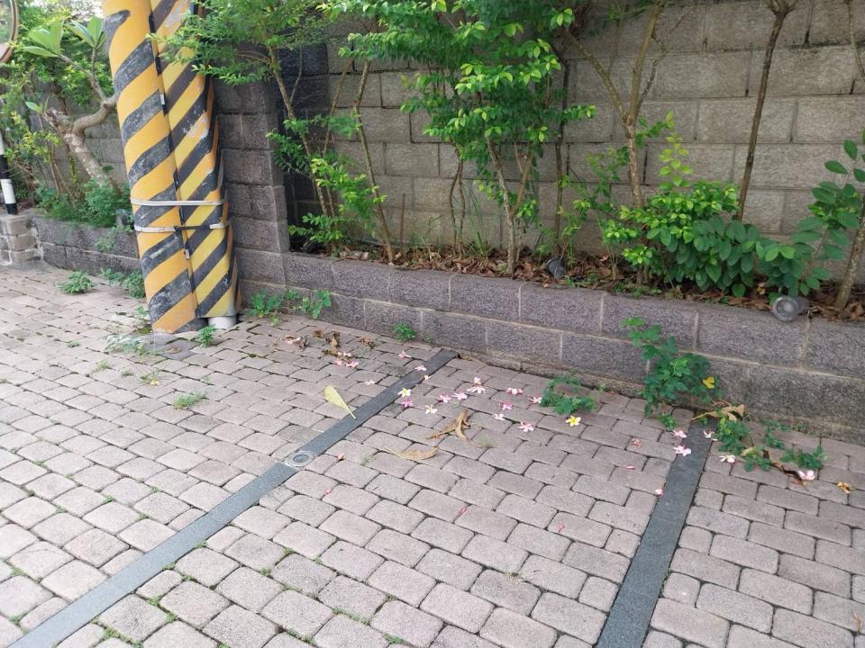 園藝維護案件圖片