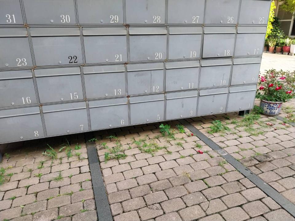 園藝維護案件圖片