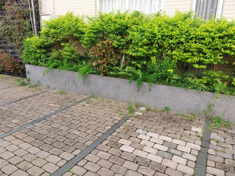 園藝維護案件圖片