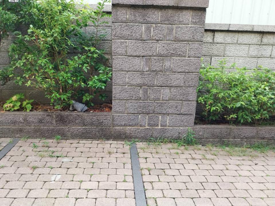 園藝維護案件圖片
