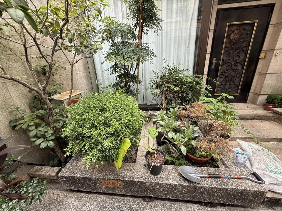 園藝設計案件圖片