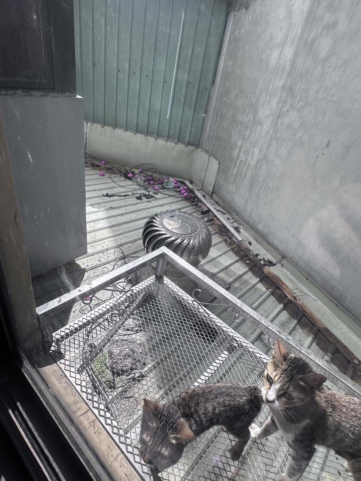 特殊清潔案件圖片