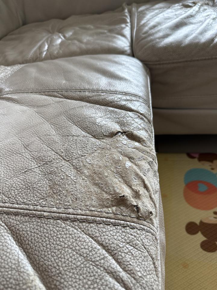 沙發修理案件圖片