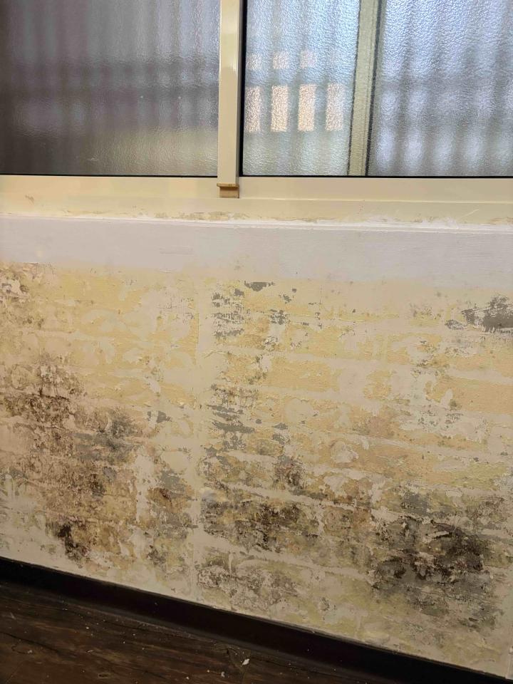 油漆工程案件圖片