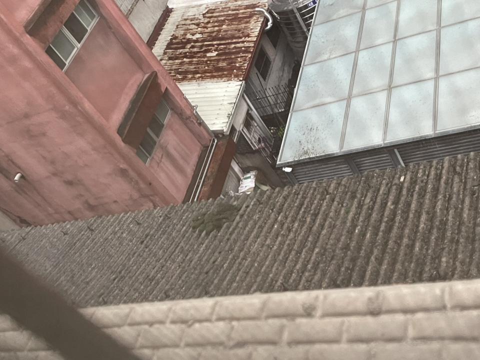 屋頂防水案件圖片