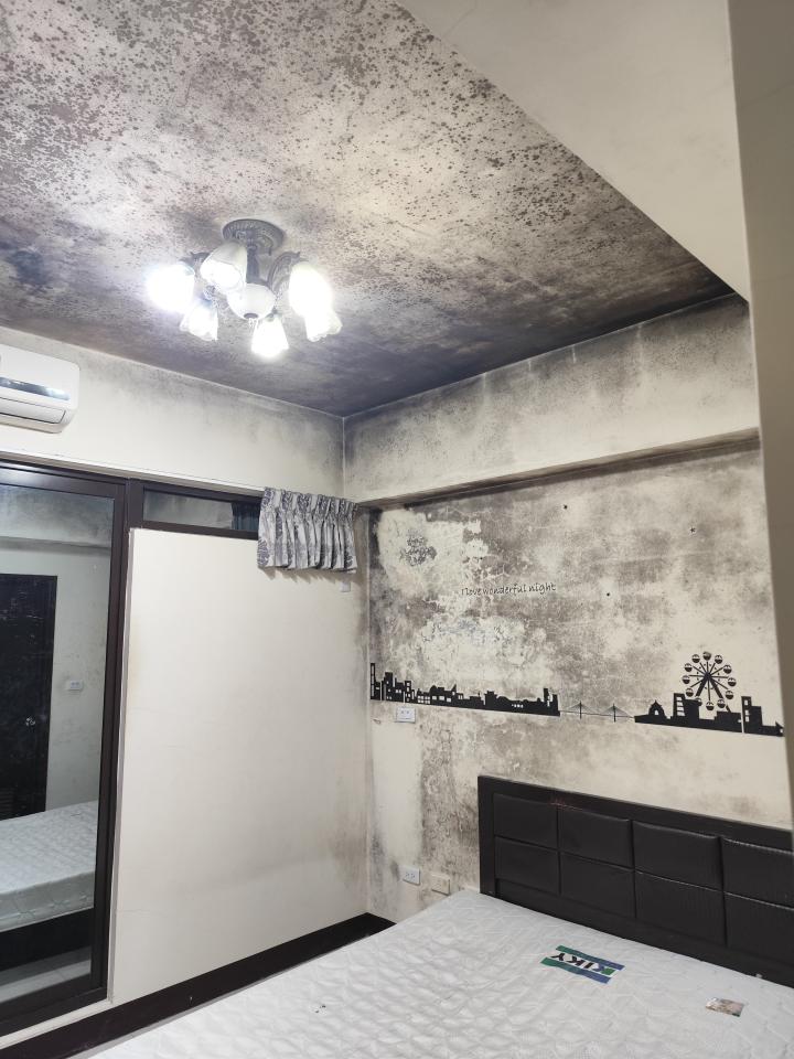 油漆工程案件圖片