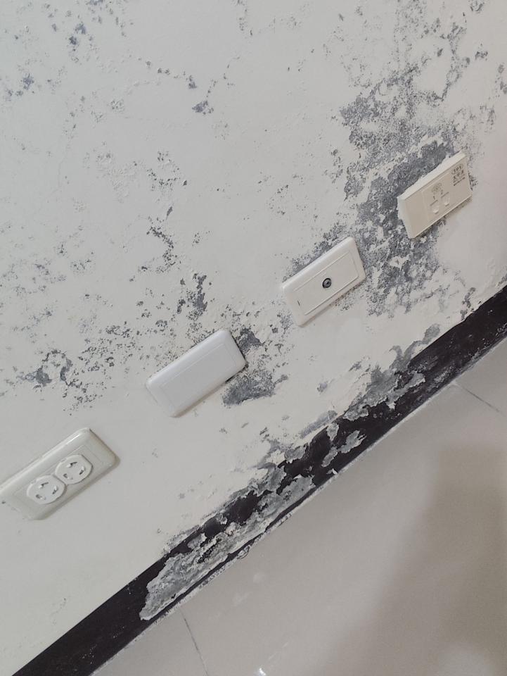 油漆工程案件圖片