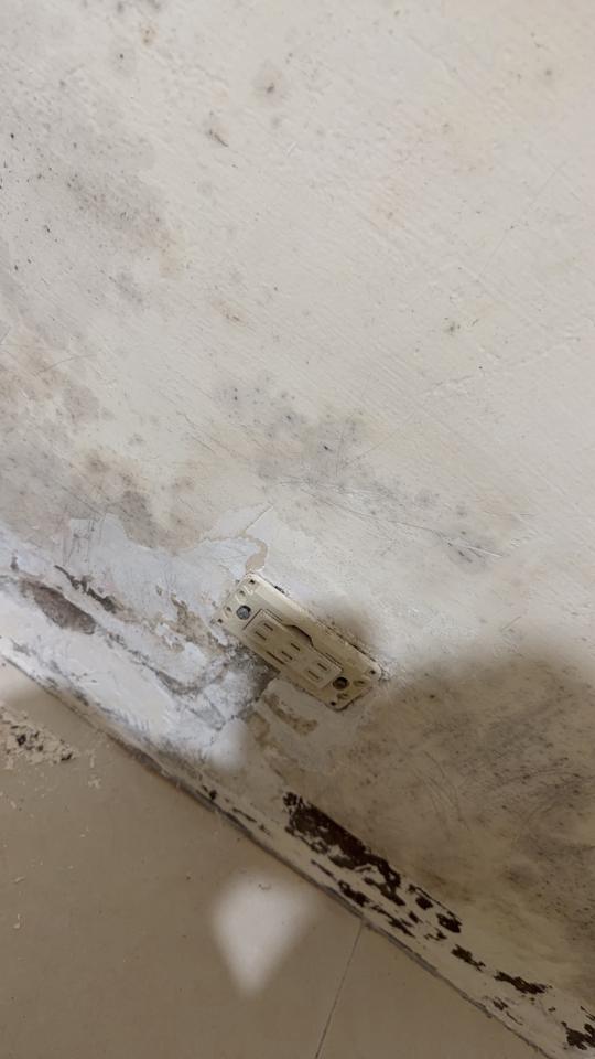 壁癌處理案件圖片