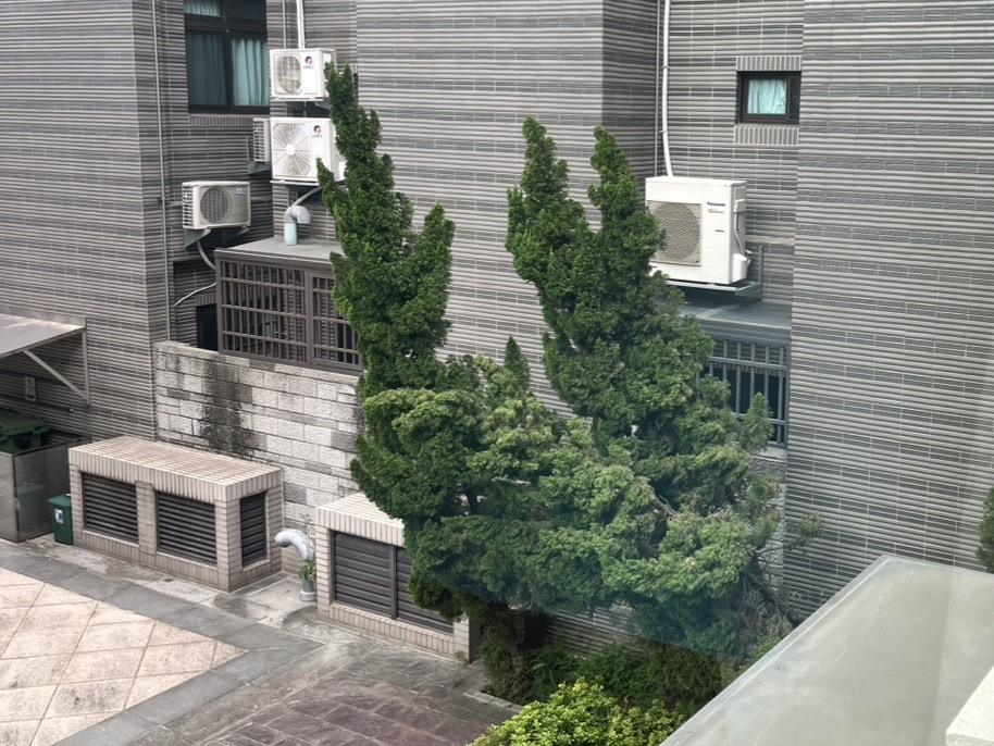 園藝維護案件圖片