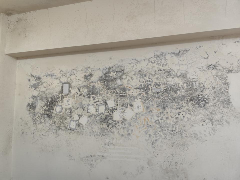 油漆工程案件圖片