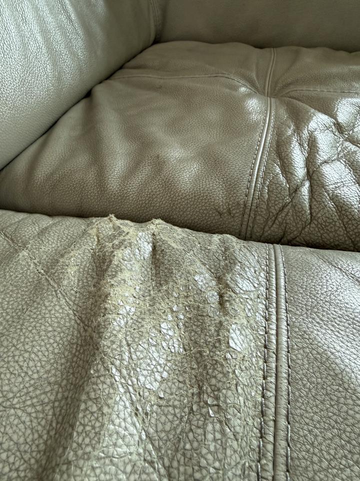 沙發修理案件圖片