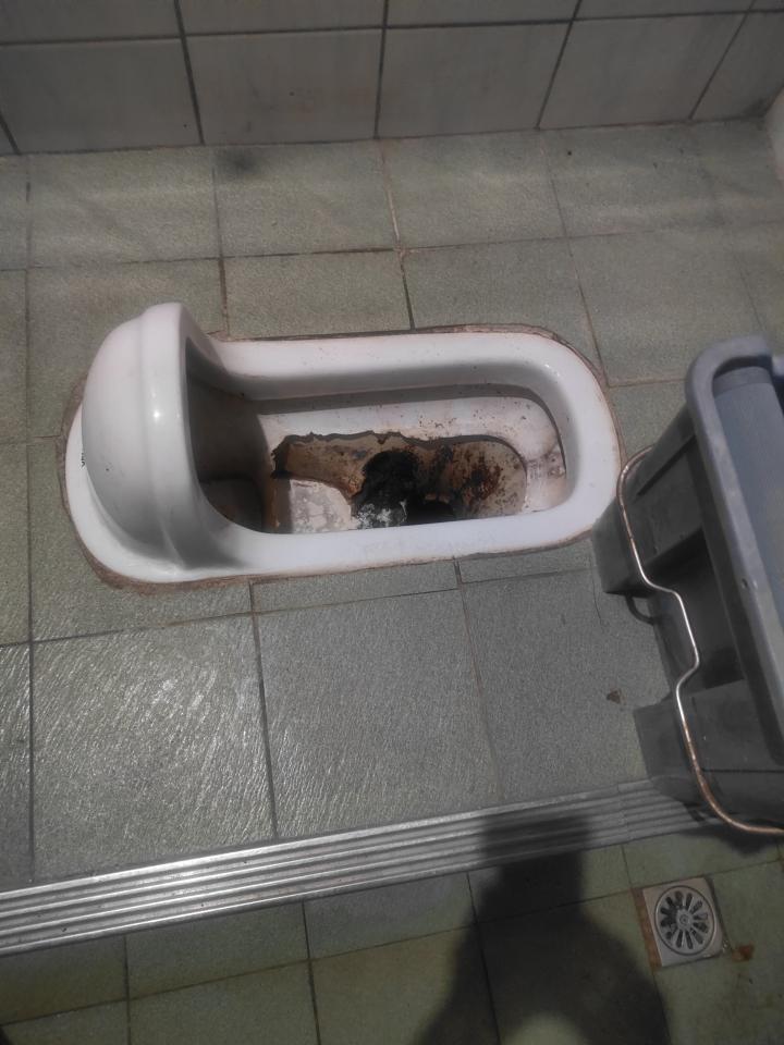 馬桶裝修案件圖片