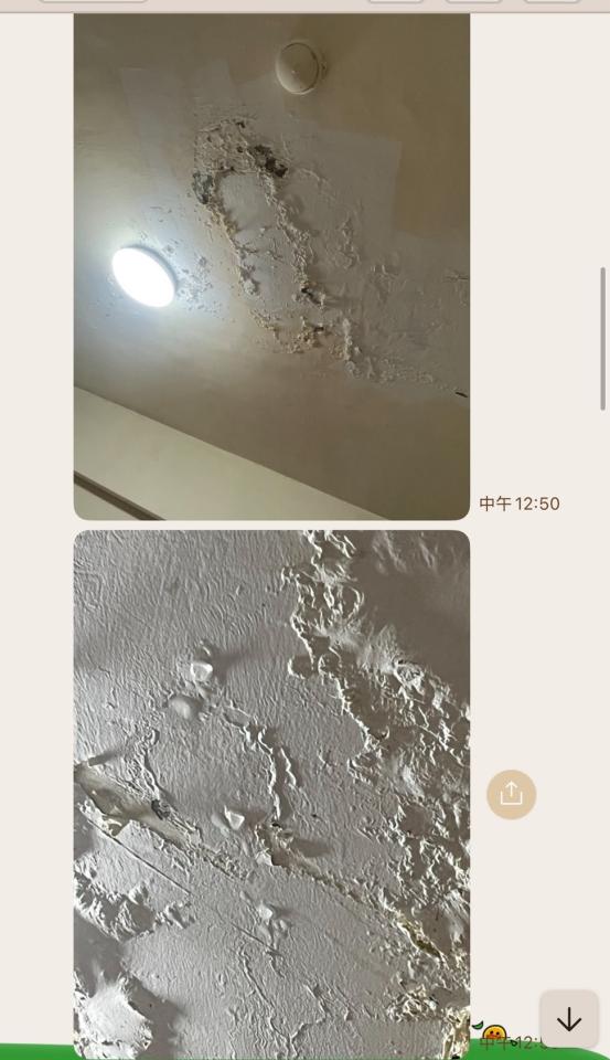 抓漏案件圖片