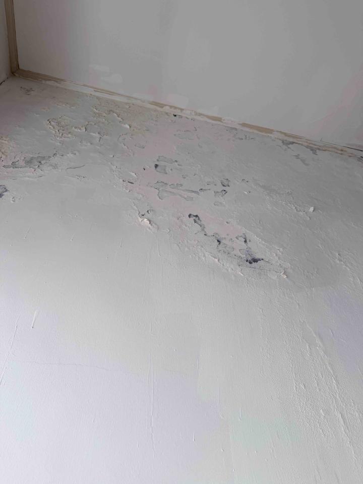 油漆工程案件圖片