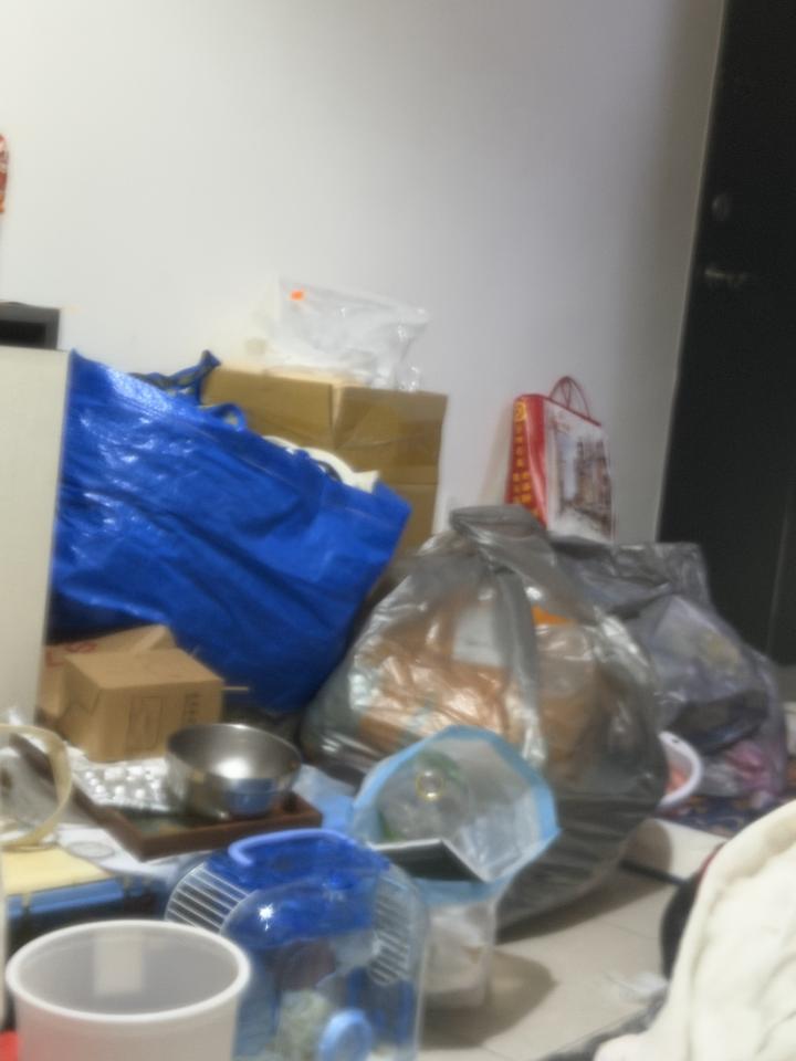 搬家案件圖片