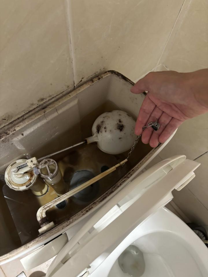 馬桶裝修案件圖片
