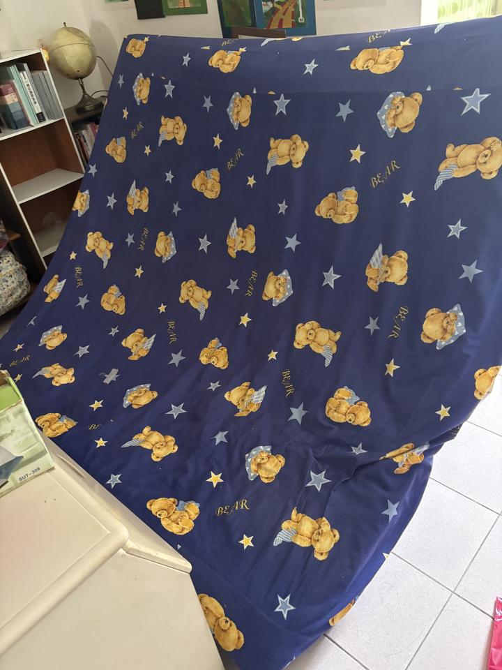 家具搬運案件圖片