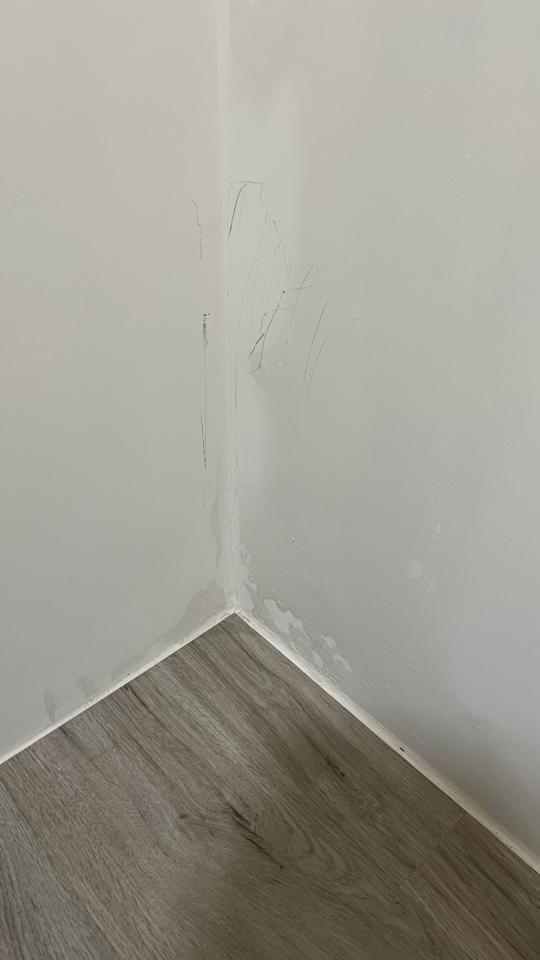 漏水處理案件圖片