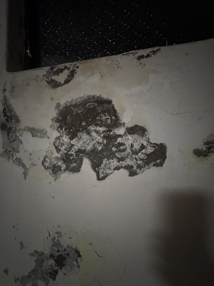 油漆工程案件圖片