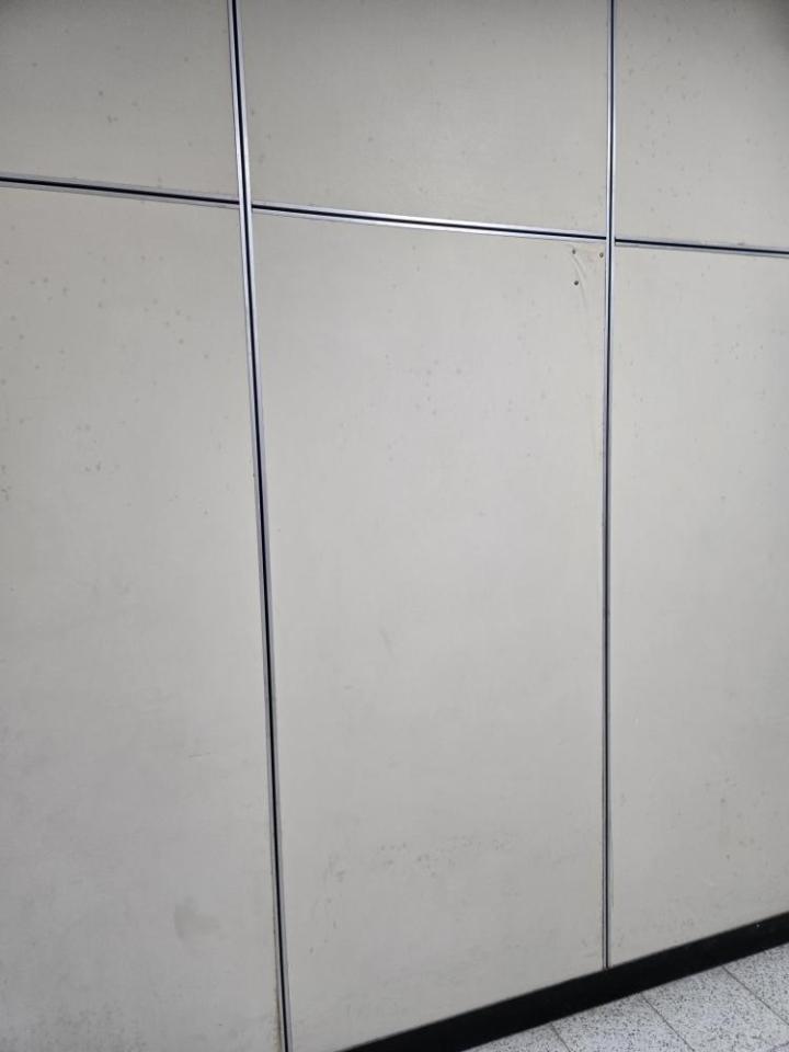 壁紙施工案件圖片