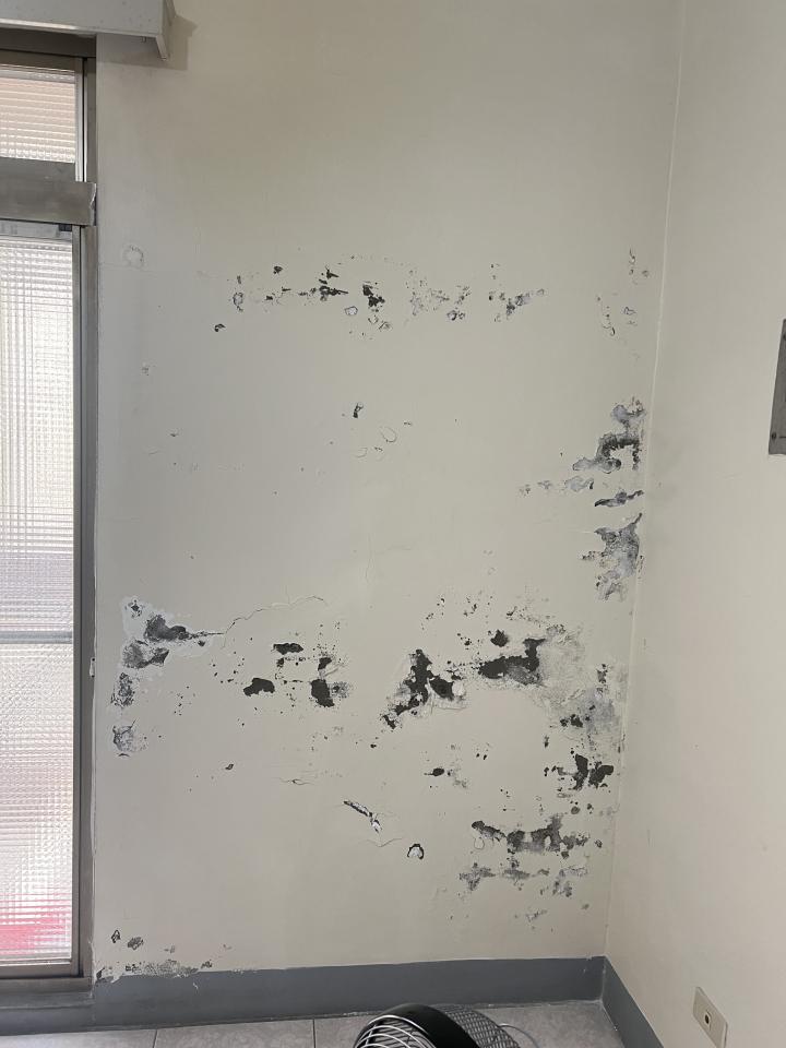 油漆工程案件圖片