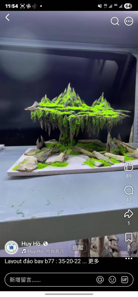 魚缸設計案件圖片