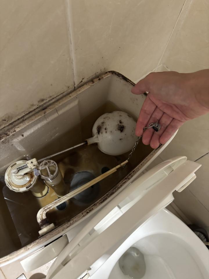 馬桶裝修案件圖片