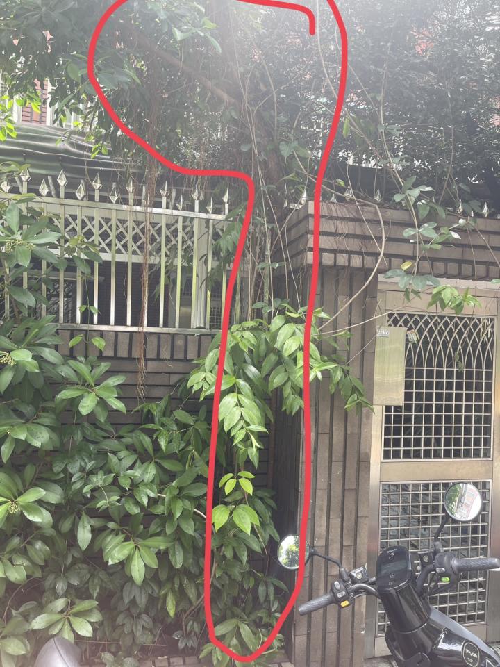 園藝維護案件圖片