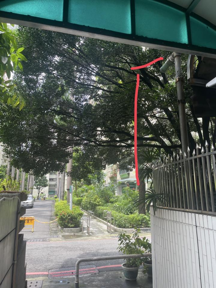 園藝維護案件圖片