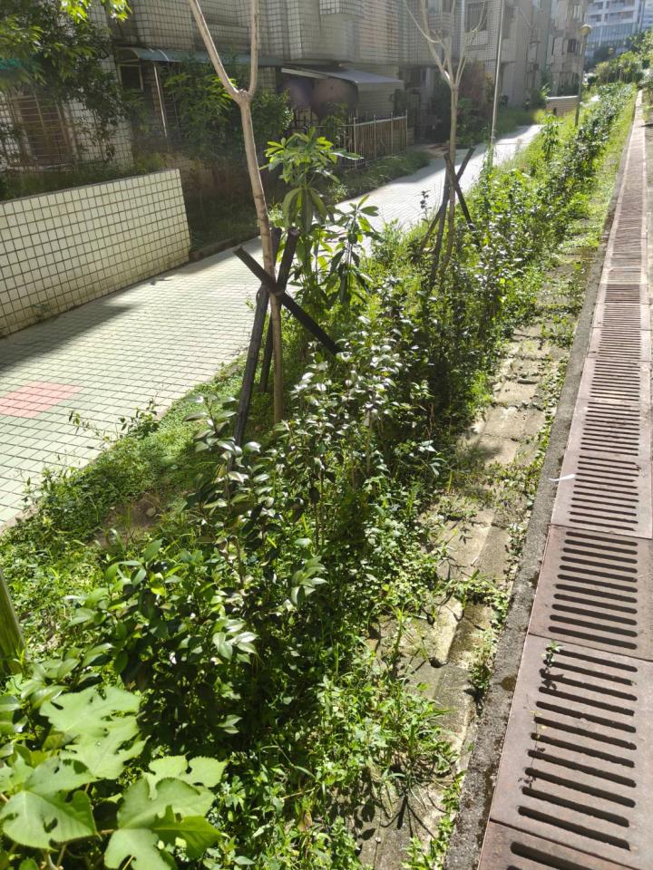 花園自動灑水系統案件圖片