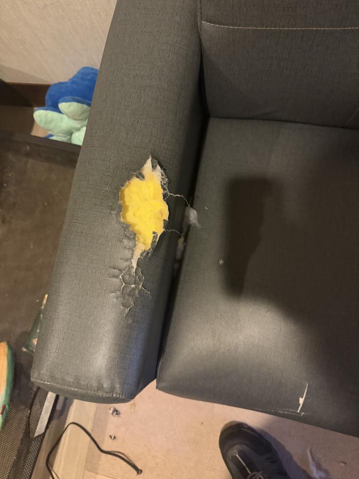 沙發修理案件圖片