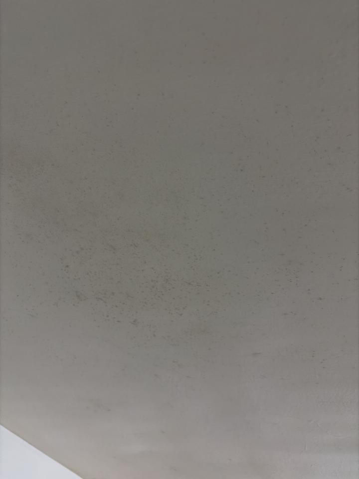 除霉案件圖片