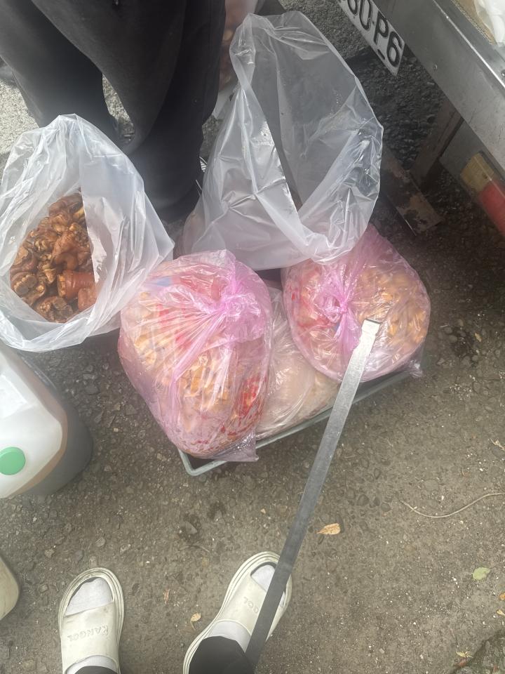 載貨運輸服務案件圖片